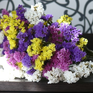 Dried statice, wedding decor, filler, dried flowers, statice, limonium, limonium dried