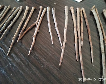 Natural Thorn Spikes – Blackthorn Thorns Dried, Natural Craft Supply, Altar Decor, Wiccan Ritual,