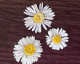 Manzanilla seca, manzanilla blanca, flor seca, decoración de boda, flor seca blanca, mini manzanilla, joyería de resinaDIY,