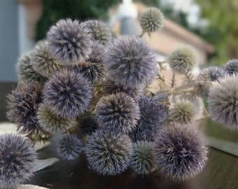 Dried Blue Globe Thistle Bunch, Pale Blue Echinops, Home Decor