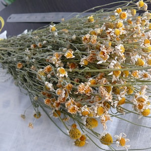 Dried chamomile, white chamomile, dried flower, dried herbs, dried bunch, dried floral bunch, wedding decoration, white dried flower, filler