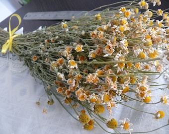 Ramo de manzanilla seca, flores blancas, decoración para bodas
