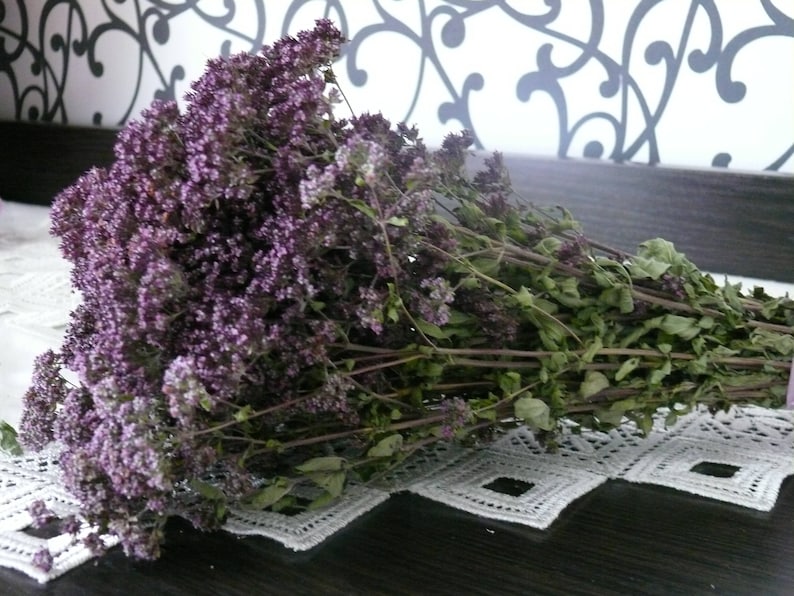 SALE Dried Oregano Purple Dried Flowers Herb Banch Dried Etsy