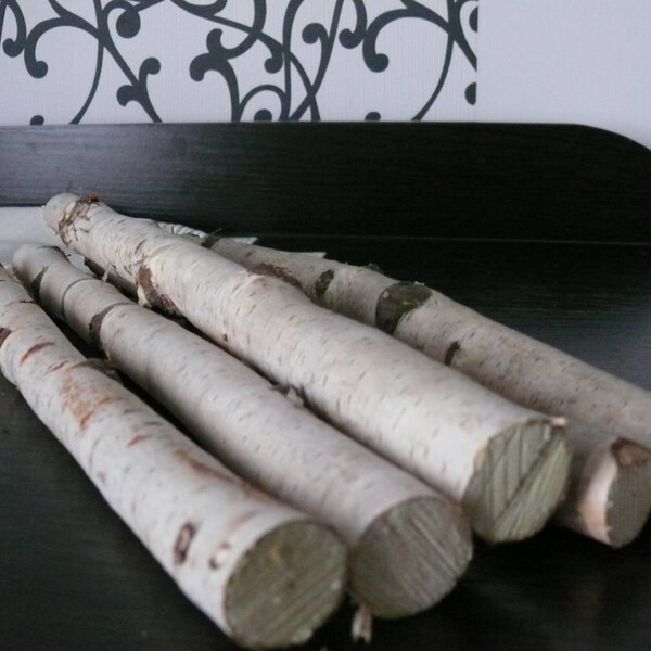 5 white Birch Branches, Birch Logs, Birch Wood