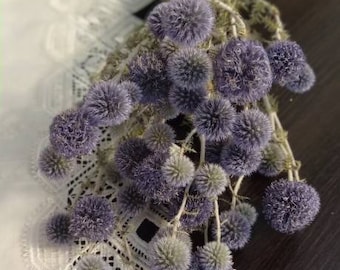 Dried blue flowers, Home Decor, Bunch of pale blue globe thistle, Globe Thistle, pale blue thistle, Bouquet of Dried Blue flowers, Echinops