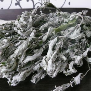 SALE!! Pepper mint, dried herbs, mountain mint, dried mint, herb decor, herb wedding, green dried herbs.