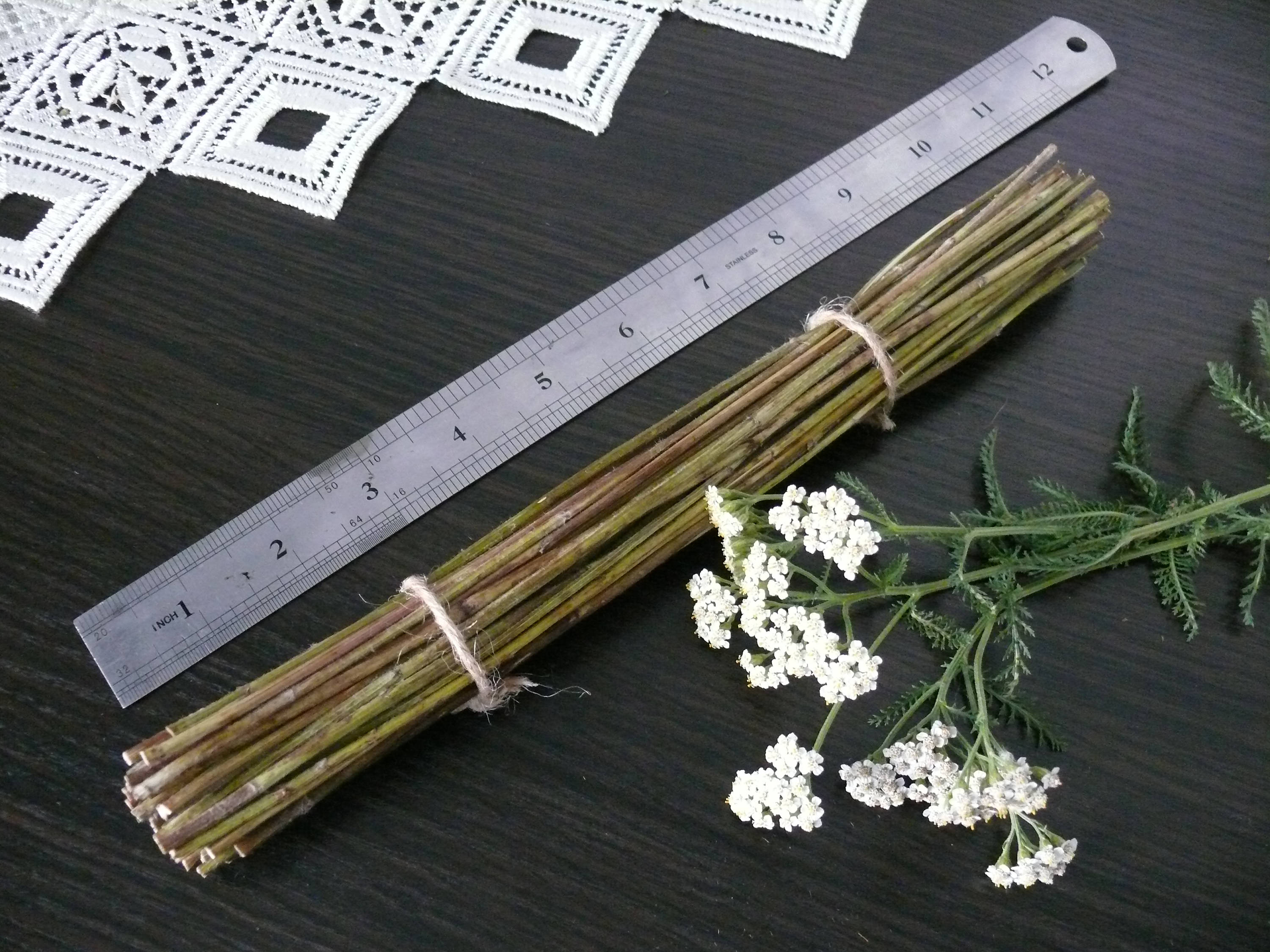 Yarrow stalks I Ching dried yarrow yarrow sticks. Etsy