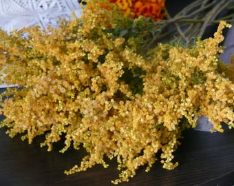 Ramo de vara de oro seca, relleno de flores amarillas, decoración de pradera de los Cárpatos.