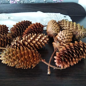 May include: A group of brown pine cones with textured scales, displayed on a dark wooden surface. The cones vary in size and shade, with some showing a lighter, golden hue. The natural arrangement suggests a rustic or autumnal theme.