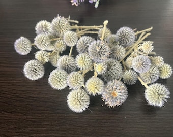20Dried blue flowers, Home Decor,Bunch of pale blue globe thistle, Globe Thistle, pale blue thistle, Bouquet of Dried Blue flowers,Echinops