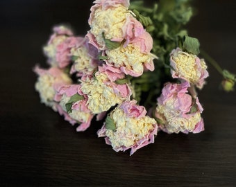 8-9 Creamy Dried Peony Bouquet, Rustic Wedding Decor, 17-21" Stems.