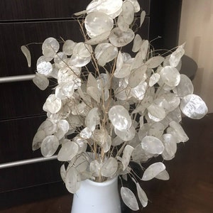 Peut inclure: Un vase en céramique blanc contient un bouquet de Lunaria séchées, également appelées monnaie du pape, aux gousses argentées et translucides. L'arrangement offre une esthétique douce et naturelle. Le vase est simple et élégant, complétant l'arrangement floral.