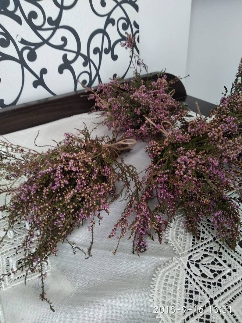 dried purple flowers dried purple flowers