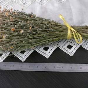 Puede incluir: Un manojo de flores de manzanilla secas atadas con una cinta amarilla. Las flores est&aacute;n dispuestas sobre un mantel de encaje blanco con una regla que mide 30,5 cm.