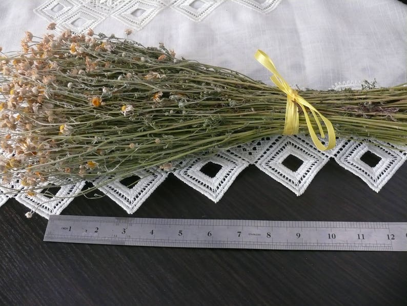 Puede incluir: Un manojo de flores de manzanilla secas atadas con una cinta amarilla. Las flores est&aacute;n dispuestas sobre un mantel de encaje blanco con una regla que mide 30,5 cm.
