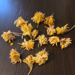 10 narcissus, dry narcissus, narcissus flowers, yellow flowers, do-it-yourself, flowers for a vase