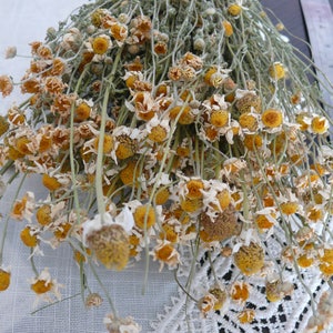 Puede incluir: Un ramo de flores de manzanilla secas con centros amarillos y p&eacute;talos blancos. Las flores est&aacute;n dispuestas en un ramo y est&aacute;n atadas juntas con una cuerda.
