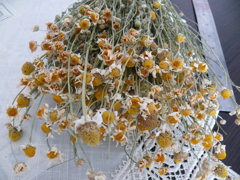 Puede incluir: Un ramo de flores de manzanilla secas con centros amarillos y p&eacute;talos blancos. Las flores est&aacute;n dispuestas en un ramo y est&aacute;n atadas juntas con una cuerda.