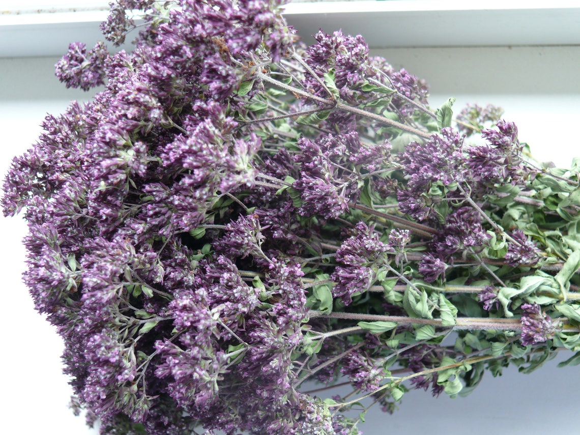 SALE Dried Oregano Purple Dried Flowers Herb Banch Dried Etsy