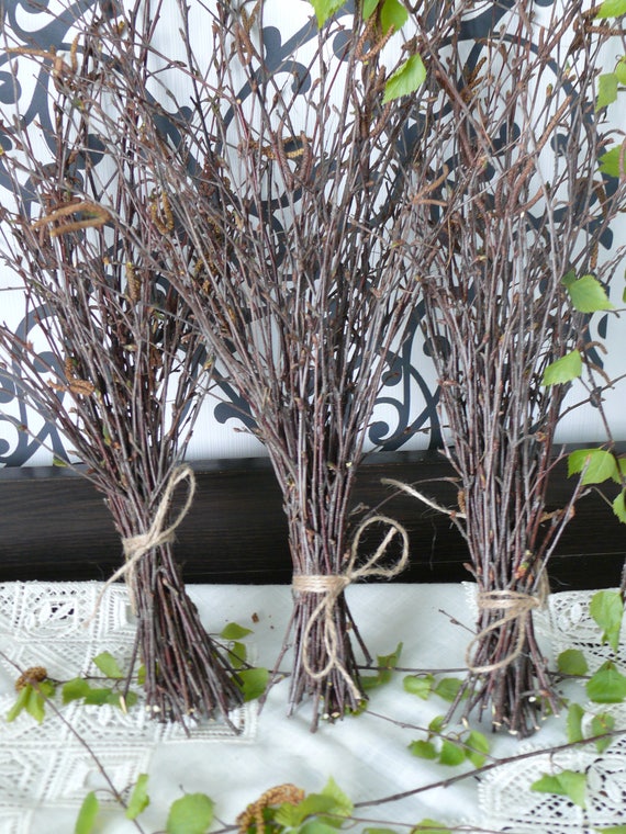 150 Birch Branches Home Decor Wood Decor Wedding Etsy