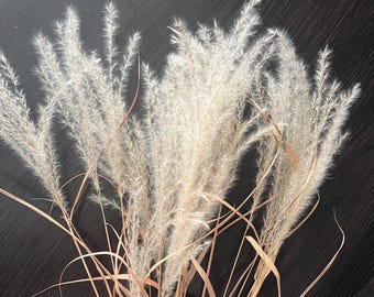 May include: A bunch of dried pampas grass with long, feathery plumes in shades of beige and brown. The stems are thin and brown.