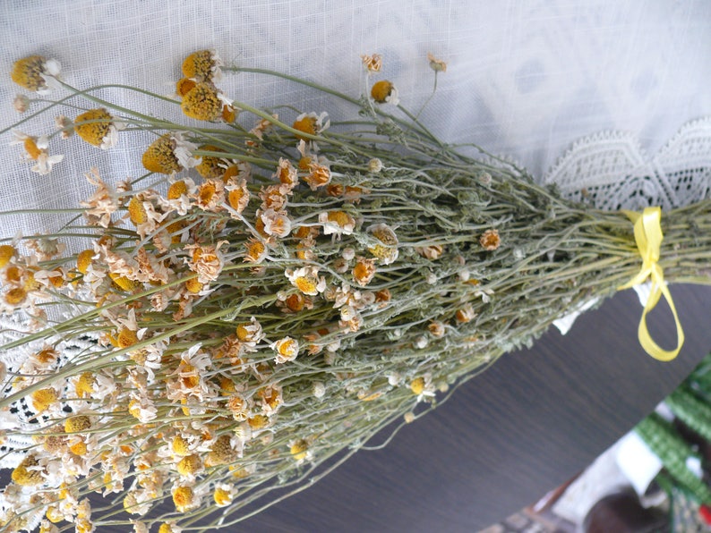 Puede incluir: Un ramo de flores de manzanilla secas atadas con una cinta amarilla. Las flores son de color amarillo p&aacute;lido y tienen una textura delicada y seca.