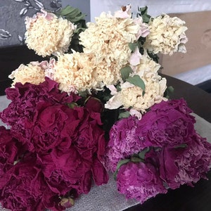 8- 10 Dried peonies, dried flowers, dried bouguets, peony flowers, home decor, rustic decor, nice decor wedding, beautiful flowers.