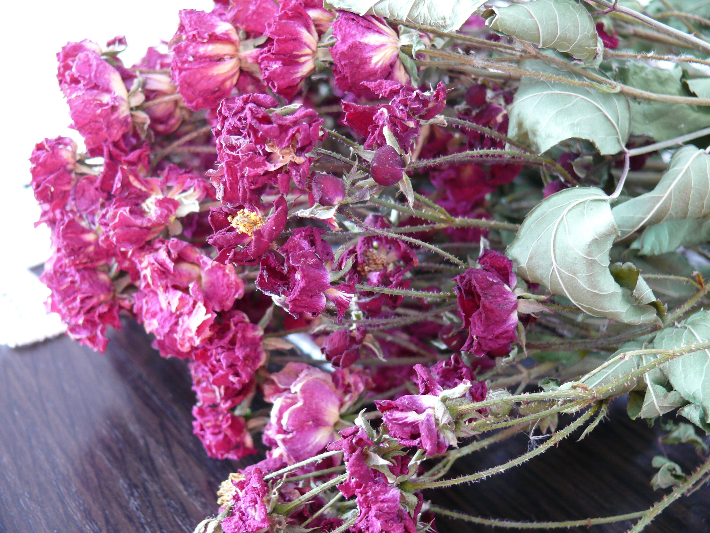 Dried Rose Small Dry Rose Bouquet of Dry Roses Bouguet | Etsy