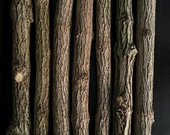 Ramas de saúco, ramitas de saúco secas, rama de saúco negro, Sambucus Nigra, rama de saúco, palo de madera de saúco, material de artesanía, decoración de madera, decoración del hogar