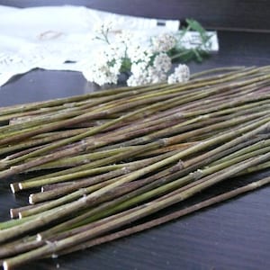 Yarrow stalks, I Ching, dried yarrow, yarrow sticks.