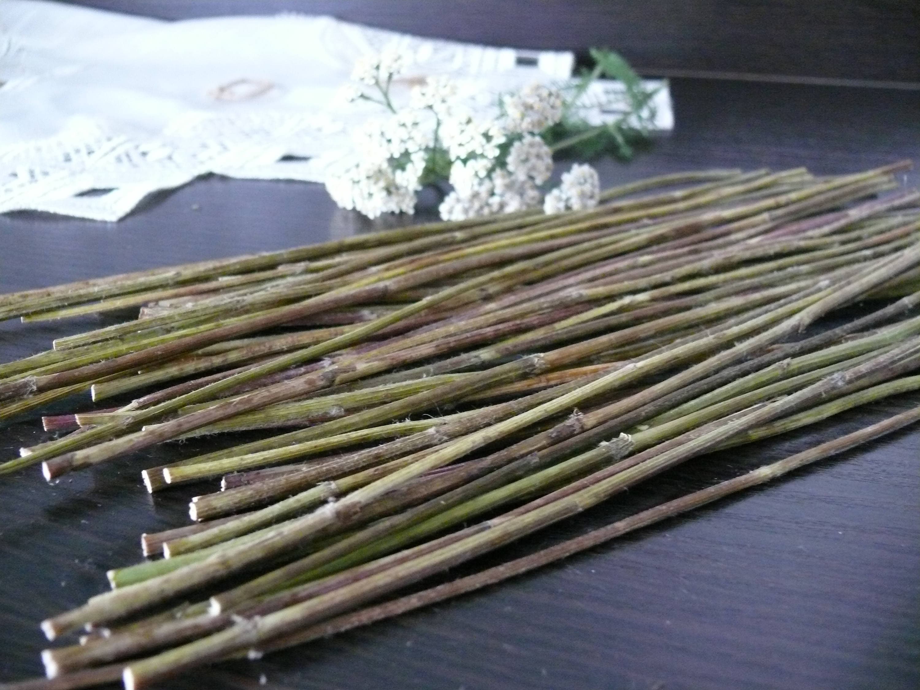 Yarrow stalks I Ching dried yarrow yarrow sticks. Etsy