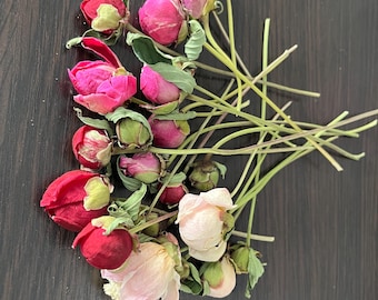 20 Dried Peonies, Natural Flower Bouquet, DIY Wedding Decor.