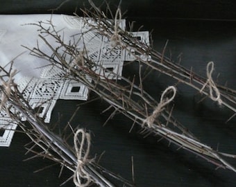 Blackthorn branches, thorny branches, home decor, rusting home decor, branches, magic wood, home decor, natural branches.