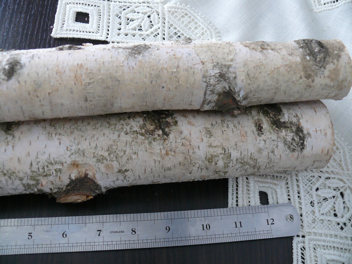 3 white Birch branches Birch Logs Birch Wood Etsy