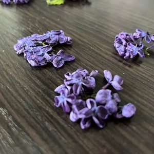 lilac, lilac Flowers, purple lilac, purple wedding, confetti lilac, confetti wedding