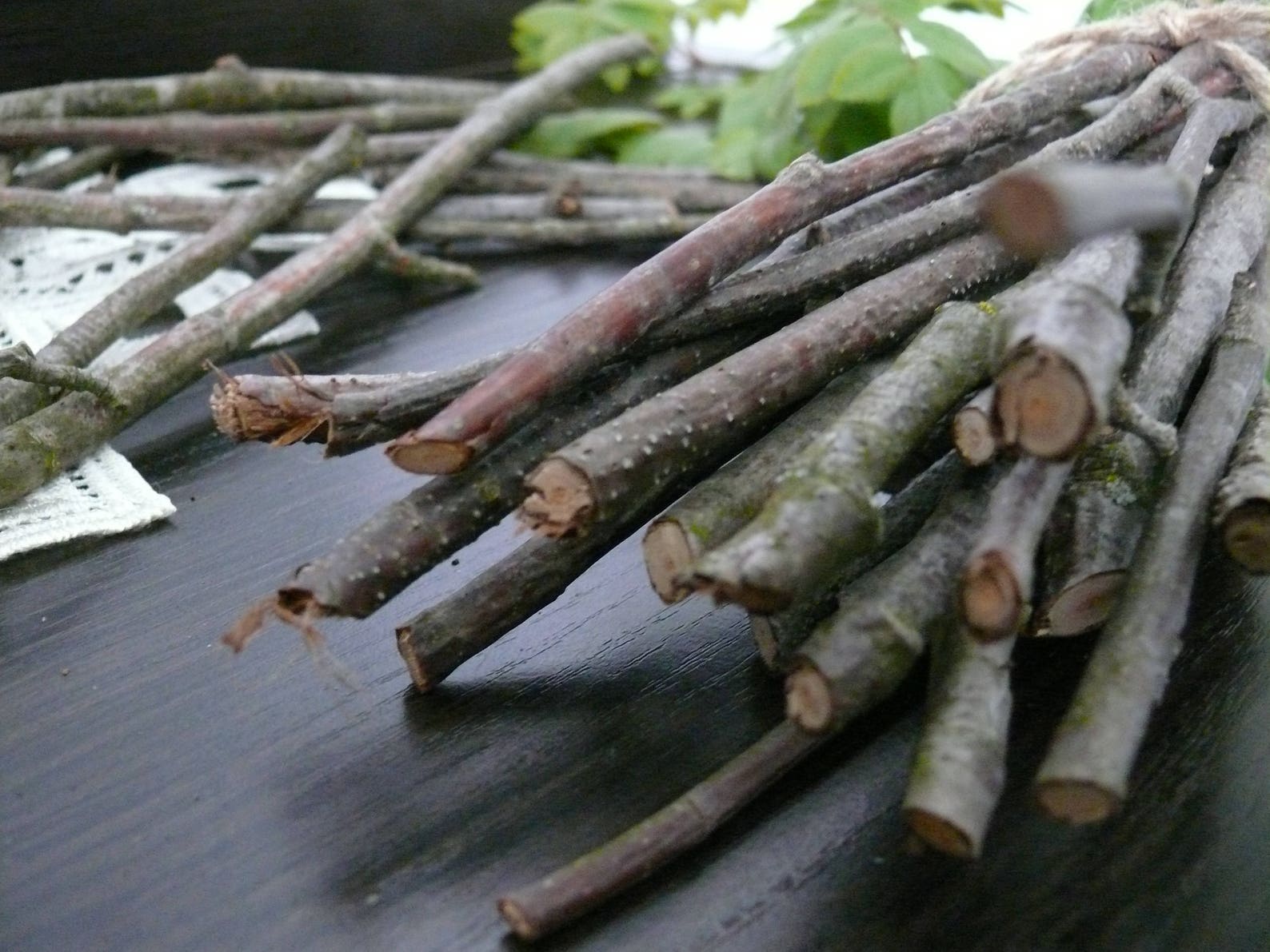 Rowan Branches Rowan Twigs Rowan Wood Shamanic Supply Etsy