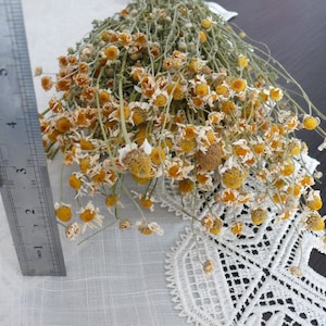 Puede incluir: Un ramo de flores de manzanilla secas con centros amarillos y p&eacute;talos blancos. Las flores est&aacute;n dispuestas en un ramo y est&aacute;n sobre un mantel de encaje blanco.