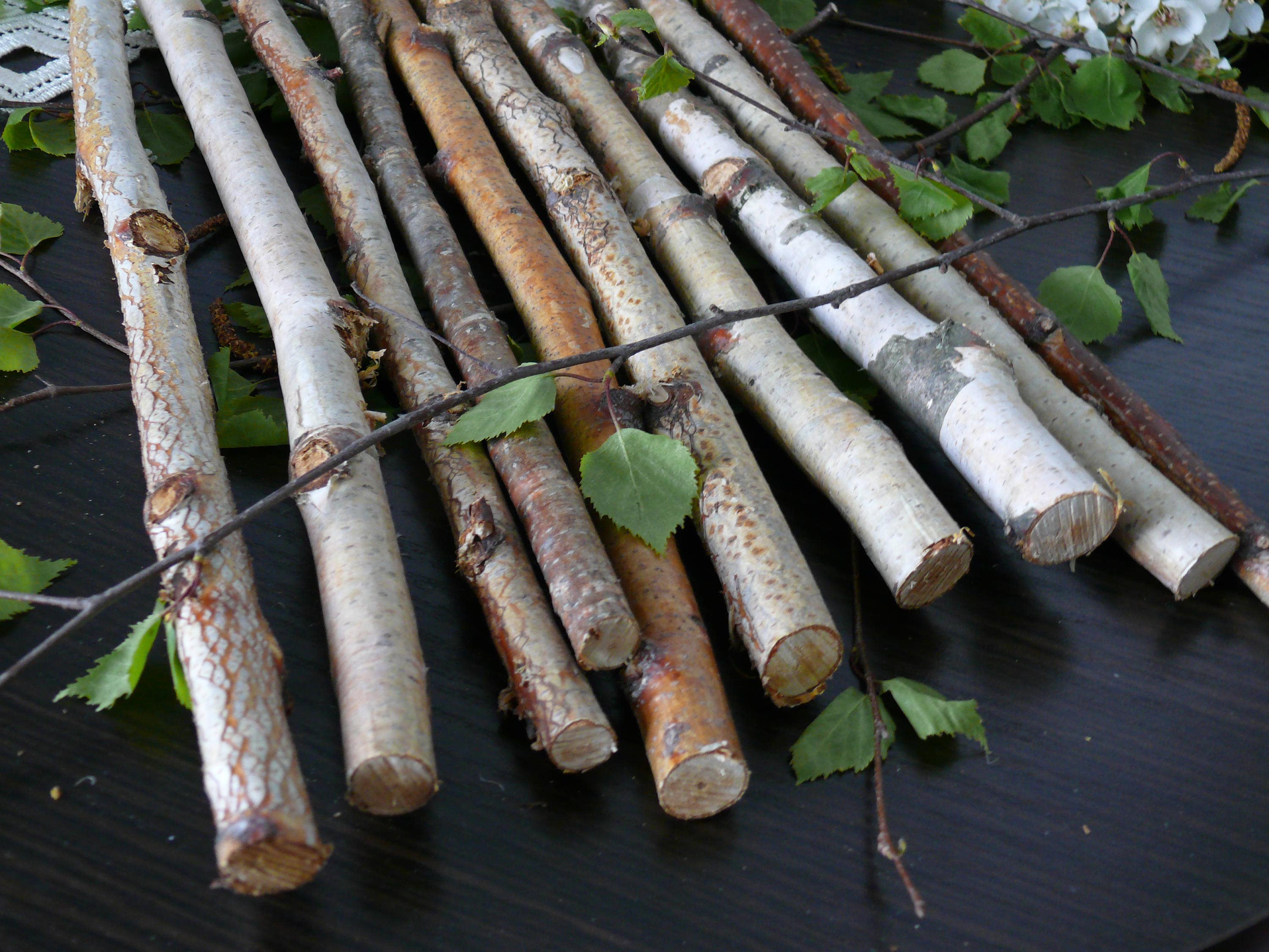 10 White Birch Branches Birch Logs Birch Wood Home Decor Etsy Canada