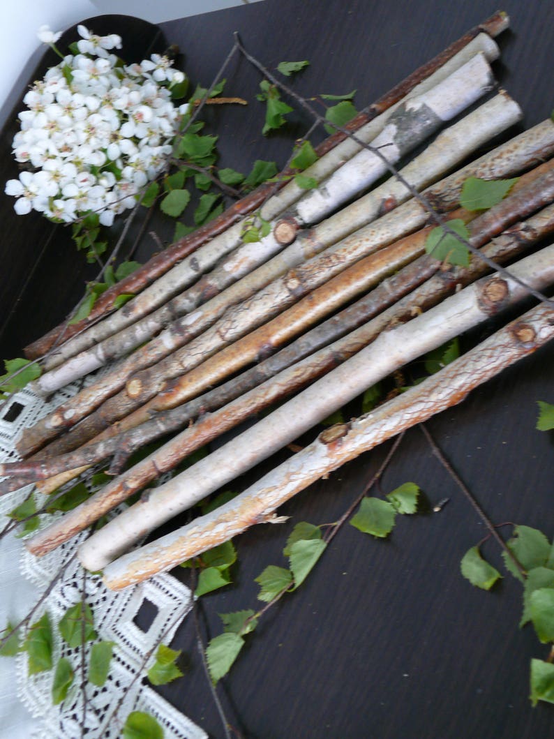 10 White Birch Branches Birch Logs Birch Wood Home Decor Etsy