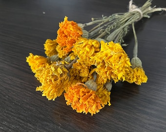 Caléndulas amarillas secas, flores de resina para manualidades, lote de 10