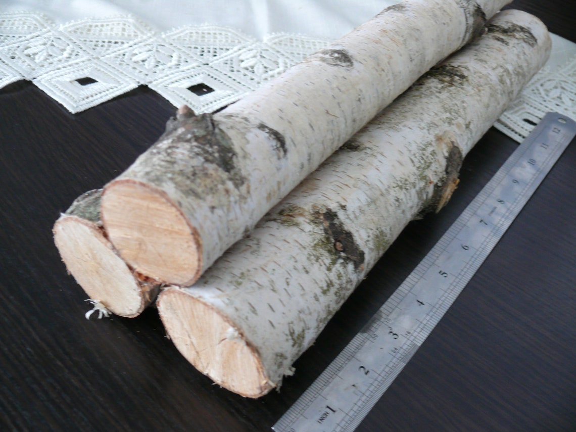 3 white Birch branches Birch Logs Birch Wood Etsy