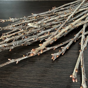 Puede incluir: Un conjunto de ramas de árboles desnudas y delgadas con pequeños brotes, dispuestas sobre una superficie de madera oscura. Las ramas son de varios tonos de gris y marrón, con pequeños brotes de color claro.