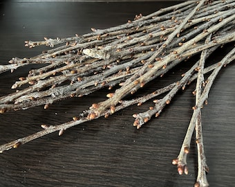 Dry Cherry Branches, Rustic Home Decor, Natural Pet Food.