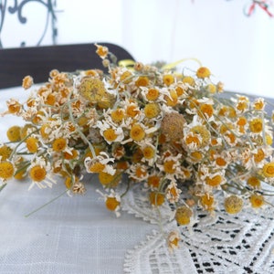 Puede incluir: Un ramo de flores de manzanilla secas con p&eacute;talos blancos y centros amarillos. Las flores est&aacute;n dispuestas sobre un mantel de encaje blanco.