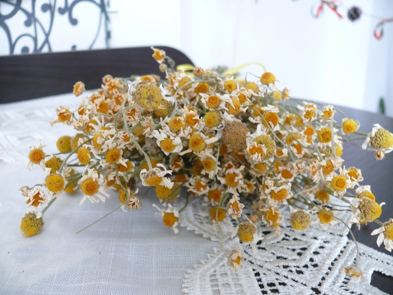 Puede incluir: Un ramo de flores de manzanilla secas con p&eacute;talos blancos y centros amarillos. Las flores est&aacute;n dispuestas sobre un mantel de encaje blanco.