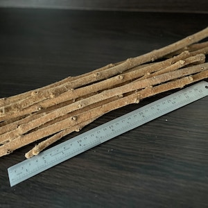 Puede incluir: Un conjunto de ramitas marrones y delgadas con una textura rugosa, posiblemente para manualidades o decoración. Una regla metálica, marcada en centímetros, se coloca junto a las ramitas para comparar el tamaño. Las ramitas miden aproximadamente 30 cm.