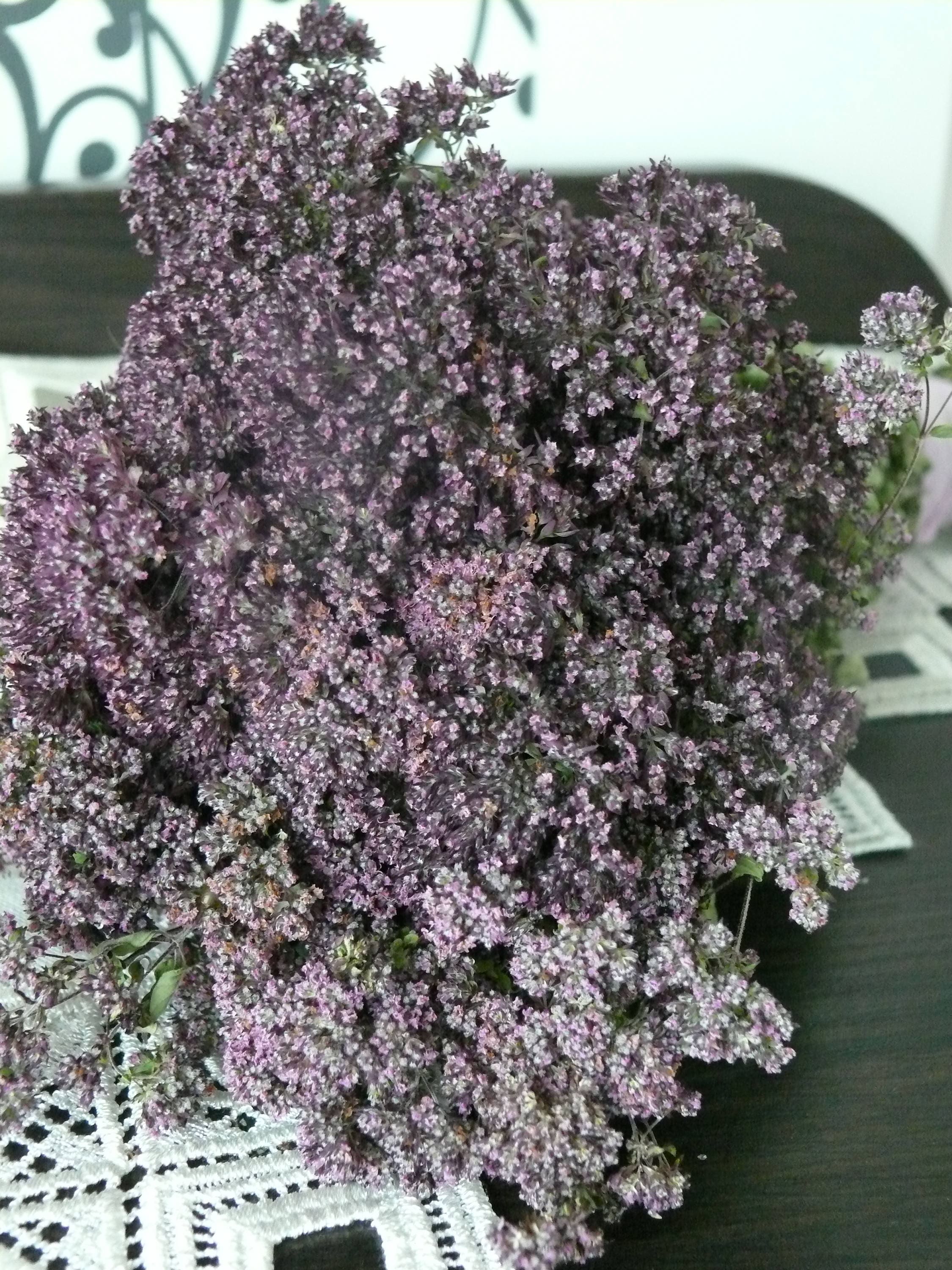 SALE Dried Oregano Purple Dried Flowers Herb Banch Dried Etsy