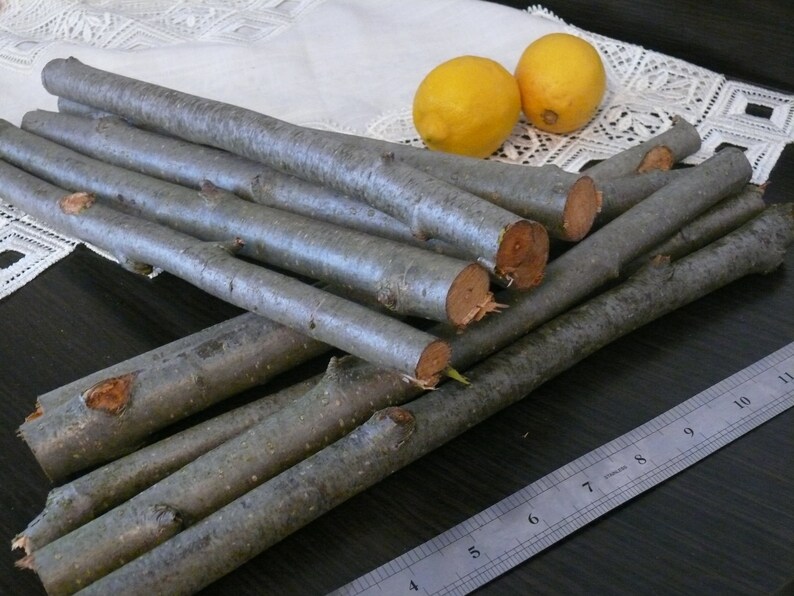 Rowan Branches Rowan Twigs Rowan Wood Shamanic Supply Etsy