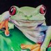 Frog Print Download, Printable Art, Rainforest, Wall Art - Etsy
