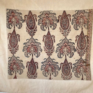 Pu&ograve; includere: Un tessuto di cotone bianco con un motivo ripetitivo di disegni paisley in tonalit&agrave; di blu, rosso e marrone. I disegni paisley sono intricati e dettagliati, e il tessuto ha una superficie leggermente strutturata.
